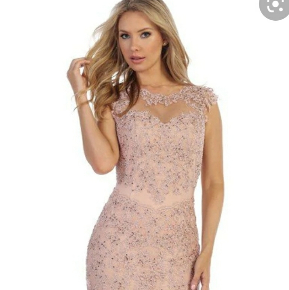 Embellished Mermaid Prom dress in Mauve color Size XL
